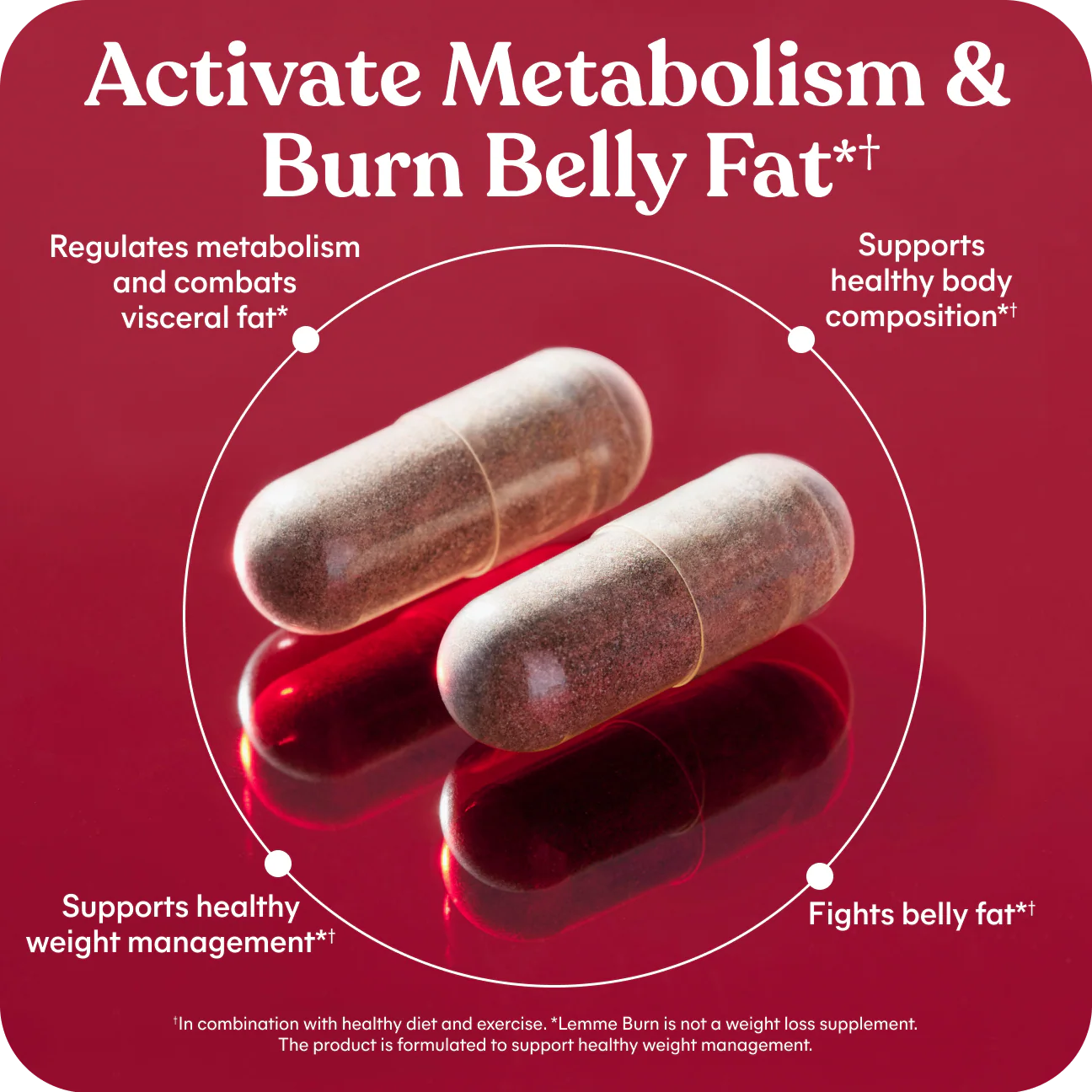 Lemme Burn - Metabolism, Belly Fat Burning + AMPK Activating Supplement for Men & Women w/Clinically Studied Actiponin Gynostemma, Green Tea Extract, Vitamins B6 & B12 - Gluten Free, 60 Count